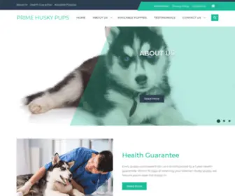 Primehuskypups.com(PRIME HUSKY PUPS) Screenshot