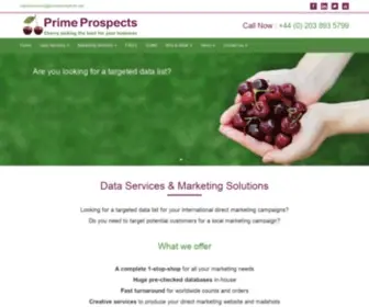 Primeprospects.net(Data Services & Marketing SolutionsPrime Prospects) Screenshot