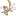 Primerdia.es Favicon