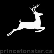 Princetonstar.ca Favicon