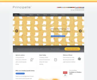 Principelle.com(High Quality Woundcare Products) Screenshot