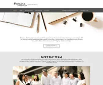 Principle-Partners.com(Principle Partners) Screenshot