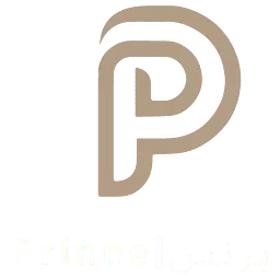 PrincStore.com Favicon