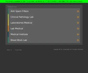 Privacylabs.net(Privacylabs) Screenshot