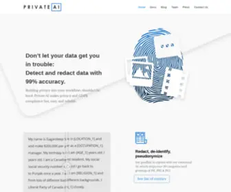 Private-AI.com(Don’t let your data get you in trouble) Screenshot