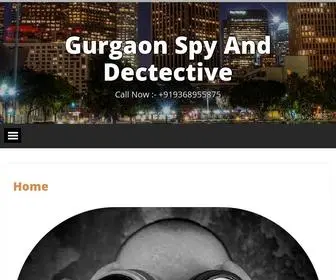 Privatedetectiveagencyingurgaon.in(Gurgaon spy agency in Gurgaon) Screenshot