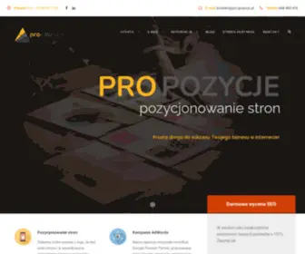 Pro-PozycJe.pl(Agencja SEO) Screenshot