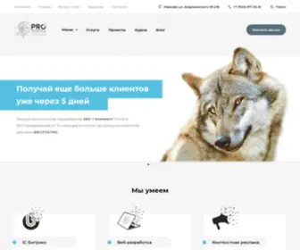 Pro-Promotion.ru(создание и продвижение сайта) Screenshot