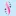 Pro-Spinu.com Favicon