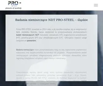 Pro-Steel.pl(Badania nieniszcz) Screenshot