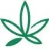 Pro4You-CBD.com Favicon