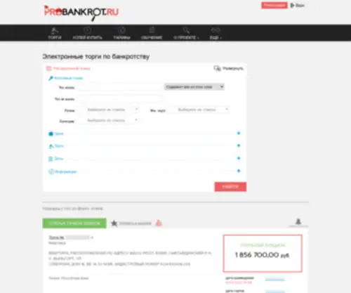 Probankrot.ru(Агрегатор) Screenshot