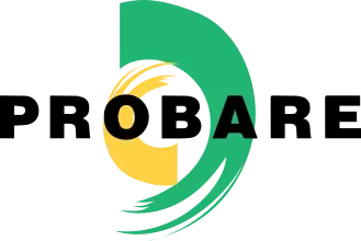 Probare.org.br Favicon