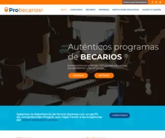 Probecarios.com(Sistema de becarios para empresas y bolsa de trabajo para becarios) Screenshot