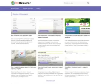 Probrauzer.ru(Про браузер) Screenshot