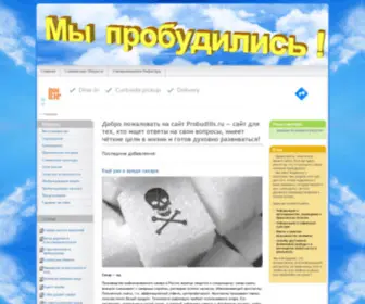 Probudilis.ru(Пробудились) Screenshot