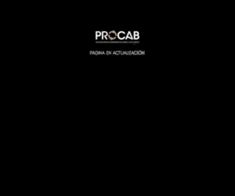 Procab.mx(PROCAB) Screenshot