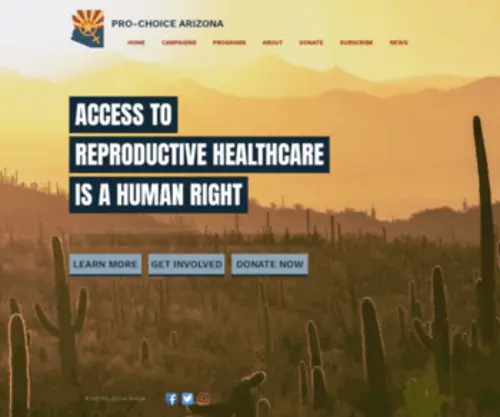 Prochoicearizona.org(Pro-Choice Arizona) Screenshot