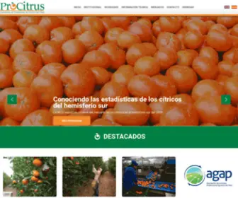 Procitrus.org(Asociaci) Screenshot