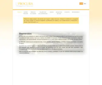 Procura-MS.com(Management Services) Screenshot