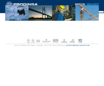 Prodinsa.cl(Prodinsa) Screenshot