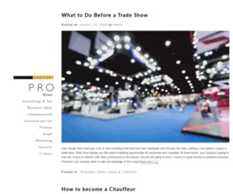 Prodirector.net(Pro director) Screenshot