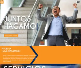 Proefexperu.com(Grupo PROEFEX) Screenshot