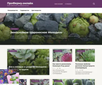 Profermu.online(Информационный интернет) Screenshot