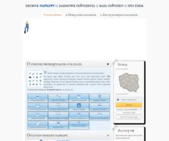 Profesjonalne-Uslugi.pl(Bot Verification) Screenshot