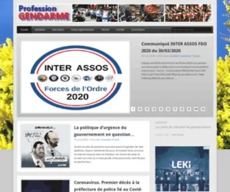 Profession-Gendarme.com(Le journal des gendarmes) Screenshot
