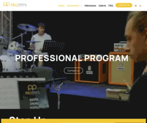 Professional-Program.com(Berufsmusiker werden) Screenshot