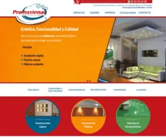 Professionalbuilders.com.mx(Construcción) Screenshot