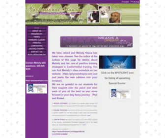 Professionalhandler.com(Professionalhandler) Screenshot