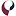 Professionalpt.com Favicon
