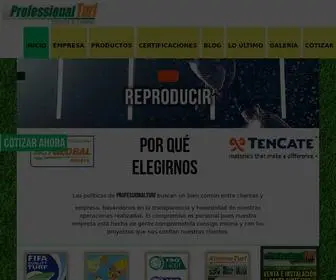 Professionalturf.com.mx(Venta De Pasto Sintetico) Screenshot