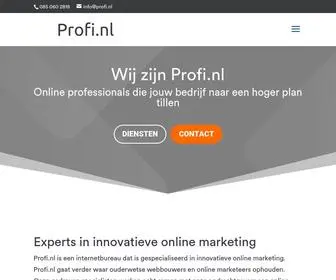 Profi.nl(Internetbureau voor innovatieve online marketing) Screenshot