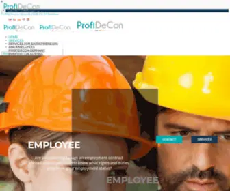 Profidecon.com(Profidecon) Screenshot