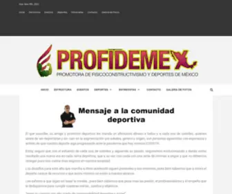 Profidemex.com(Profidemex ? Profidemex) Screenshot