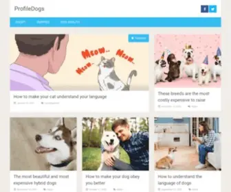 Profiledogs.com(Profiledogs) Screenshot