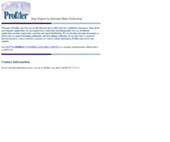 Profiler.com(Your Expert in Internet Data Collection) Screenshot