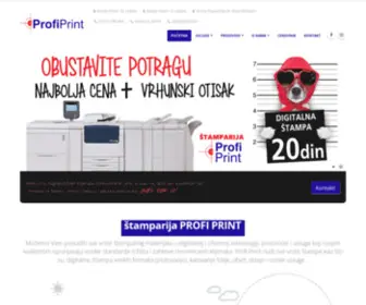 Profiprint011.com(PROFI PRINT) Screenshot