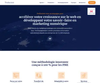 Profiscient.fr(L'agence digitale qui accompagne les PME) Screenshot