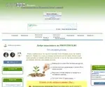 Profitbux.ru Screenshot