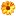 Proflower.com Favicon