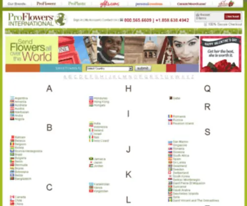 Proflowersinternational.com(Proflowers International) Screenshot