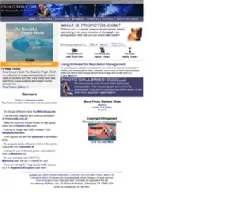 Profotos.com(Profotos Professional Photography Resource) Screenshot