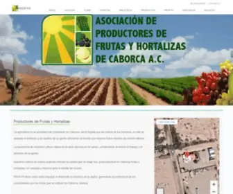 Profyh.com(Asociación de Productores de Frutas y Hortalizas de Caborca) Screenshot