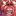 Progarchy.com Favicon