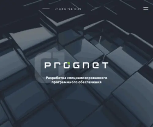 Prognet.org(разработка специализированного программного обеспечения) Screenshot