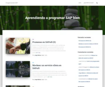 Programandosap.com(Aprendiendo a programar SAP bien) Screenshot